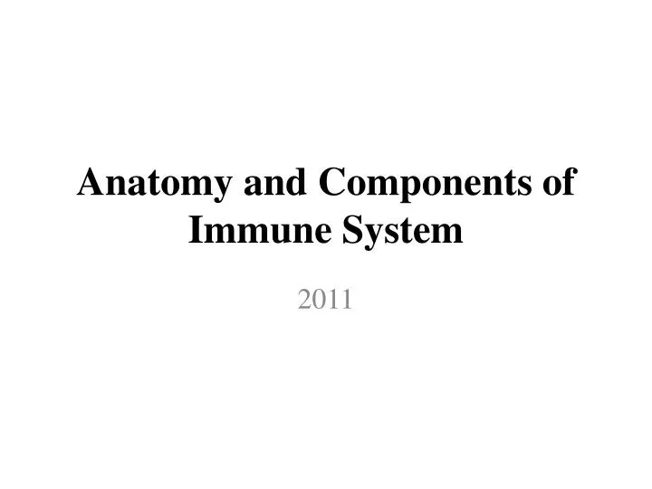 anatomy and components of immune system