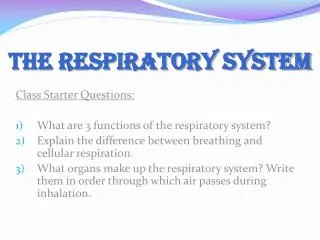 The Respiratory System