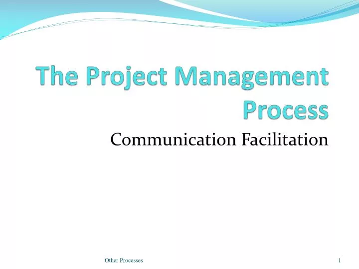 the project management process