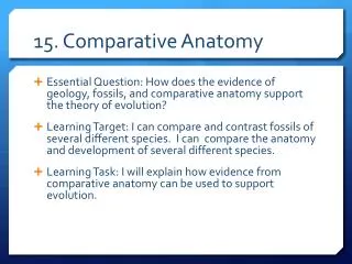 15. Comparative Anatomy