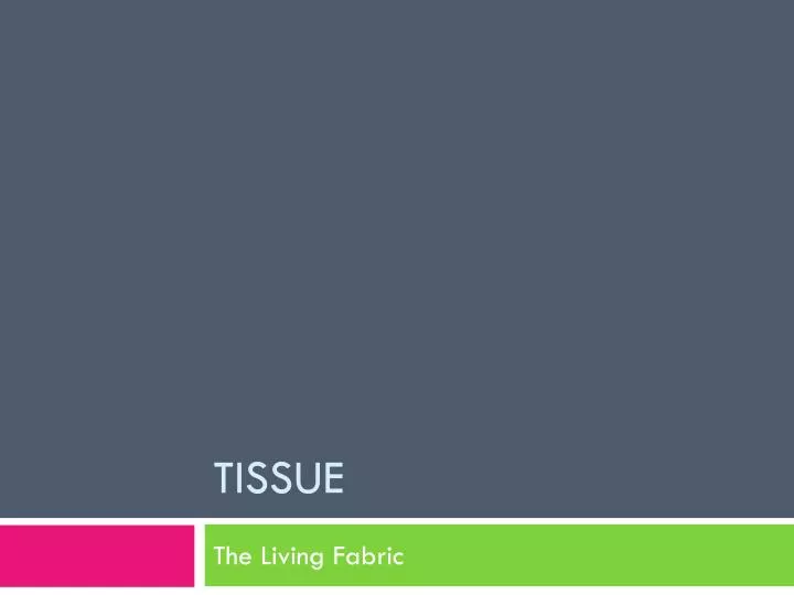 tissue