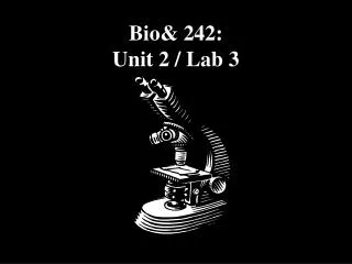 Bio&amp; 242: Unit 2 / Lab 3