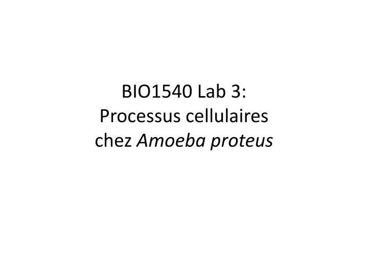bio1540 lab 3 processus cellulaires chez amoeba proteus