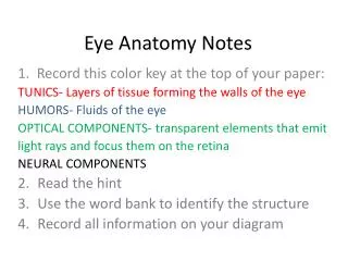 Eye Anatomy Notes