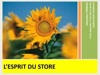 L’ESPRIT DU STORE