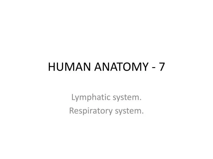 human anatomy 7