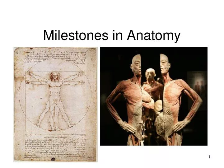 milestones in anatomy