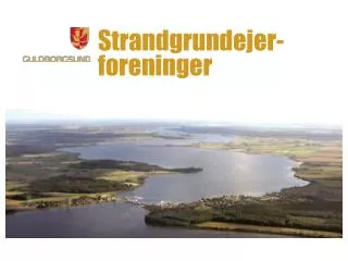 Strandgrundejer- foreninger