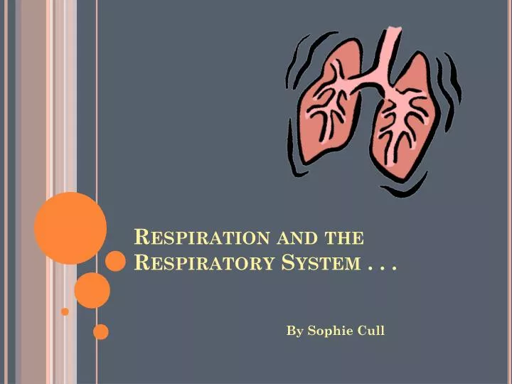 respiration and the respiratory system