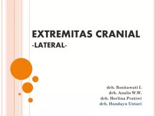 extremitas cranial lateral