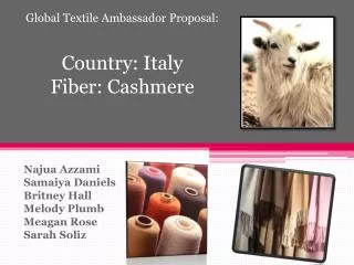 Global Textile Ambassador Proposal: Country: Italy Fiber: Cashmere