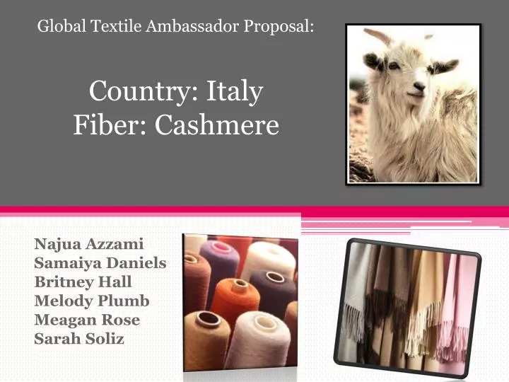 global textile ambassador proposal country italy fiber cashmere