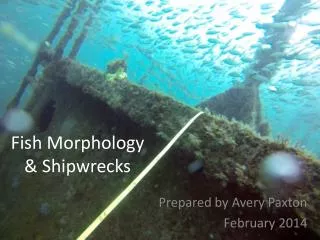 Fish Morphology &amp; Shipwrecks