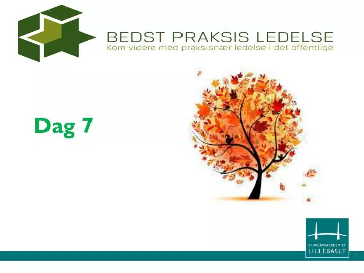 dag 7