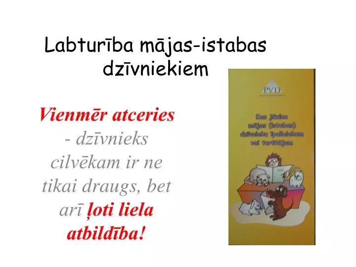 labtur ba m jas istabas dz vniekiem