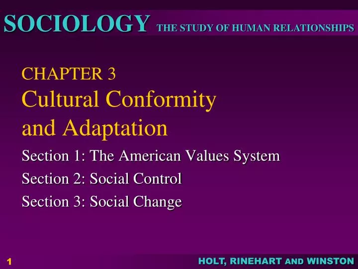 chapter 3 cultural conformity and adaptation