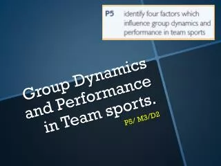 Group Dynamics and Performance in Team sports.