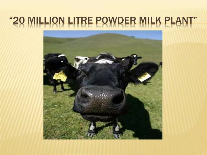 20 million litre powder milk plant