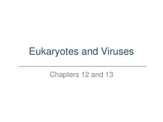 Eukaryotes and Viruses