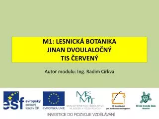 M1: LESNICKÁ BOTANIKA JINAN DVOULALOČNÝ TIS ČERVENÝ