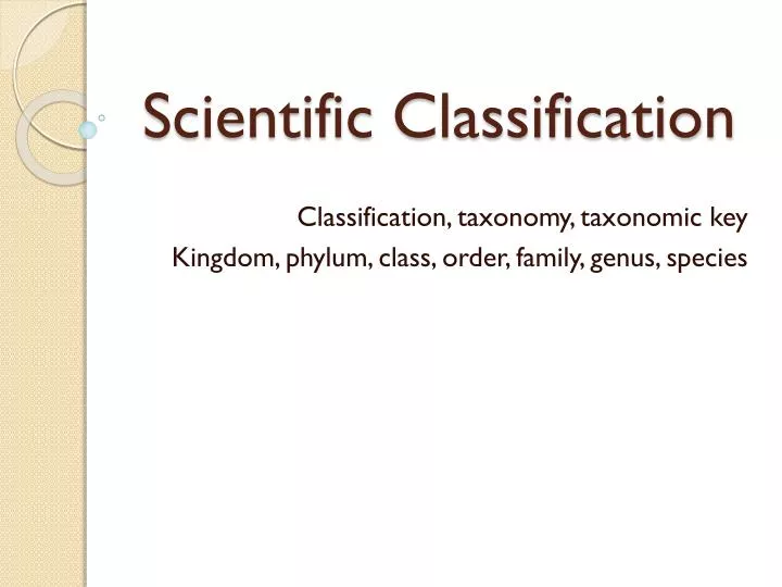 scientific classification