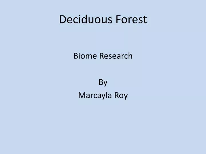 deciduous forest