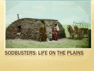 Sodbusters: Life on the Plains