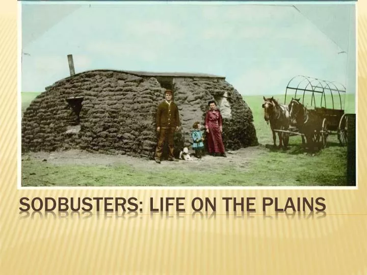 sodbusters life on the plains