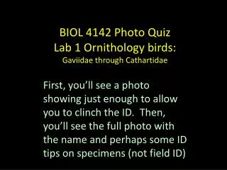 BIOL 4142 Photo Quiz Lab 1 Ornithology birds: Gaviidae through Cathartidae