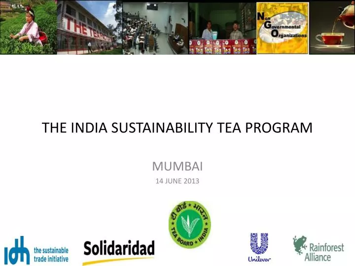 the india sustainability tea program