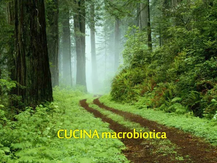 cucina macrobiotica