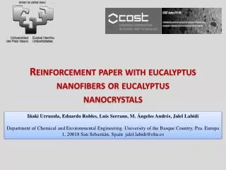 Reinforcement paper with eucalyptus nanofibers or eucalyptus nanocrystals