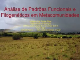 an lise de padr es funcionais e filogen ticos em metacomunidades