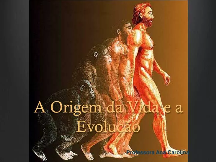 a origem da vida e a evolu o