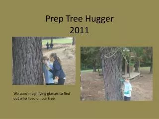Prep Tree Hugger 2011
