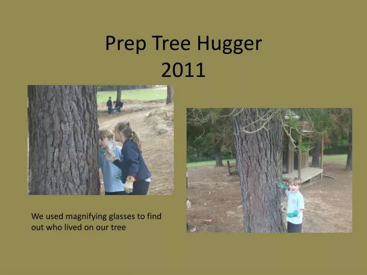 prep tree hugger 2011