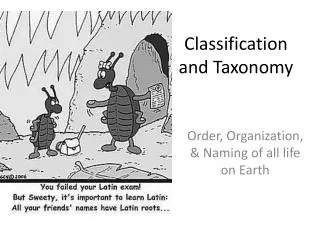 Classification and Taxonomy