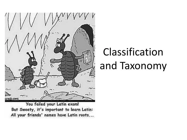 classification and taxonomy