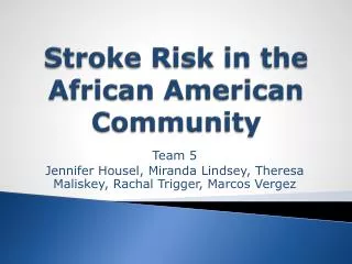 Stroke Risk in the African American Community
