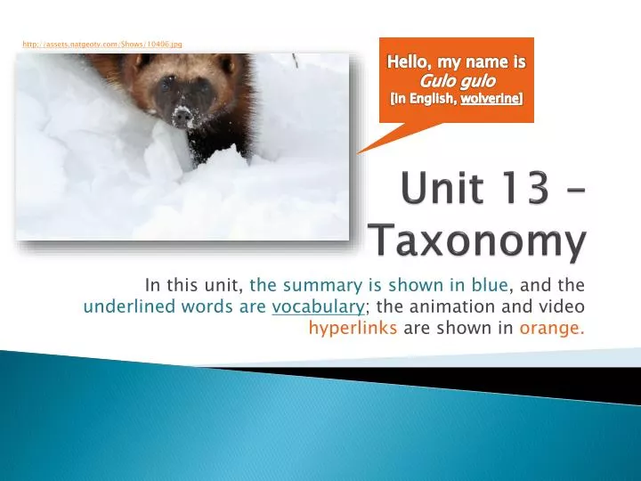 unit 13 taxonomy