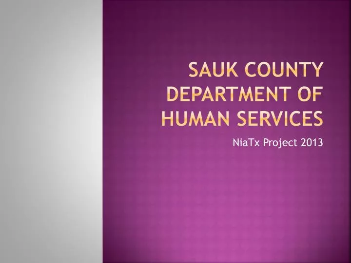 sauk county department of human services