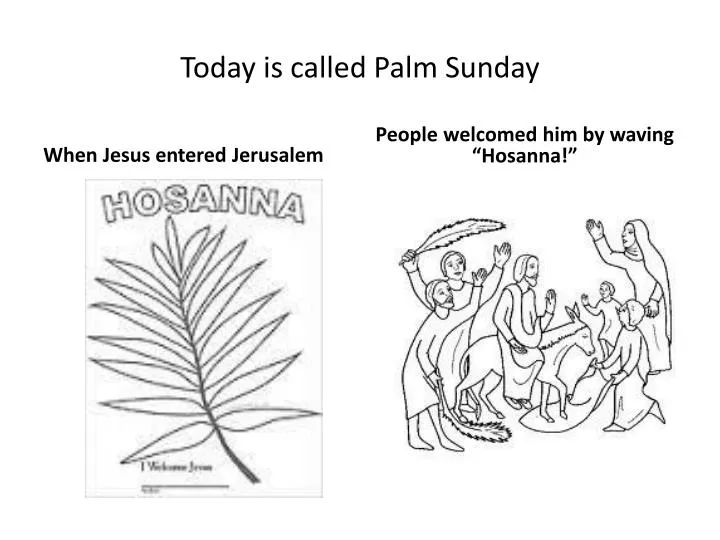 today is called palm sunday