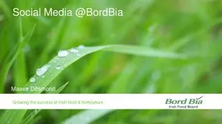 Social Media @ BordBia