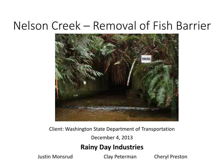 nelson creek removal of fish barrier