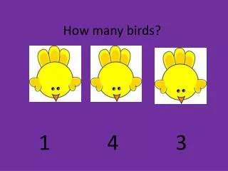 how many birds