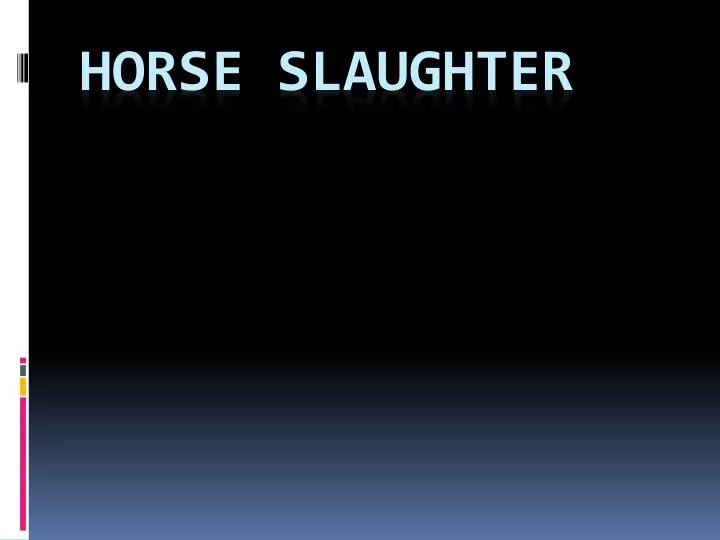 horse slaughter