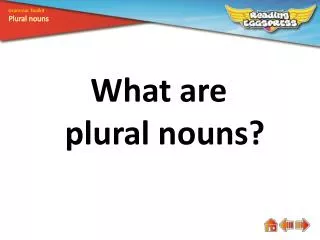 What are plural nouns?