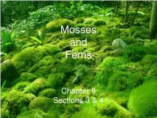 Mosses and Ferns Chapter 9 Sections 3 &amp; 4