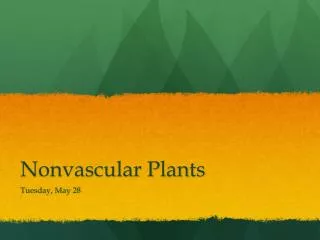 nonvascular plants