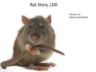 Rat Story, LDD